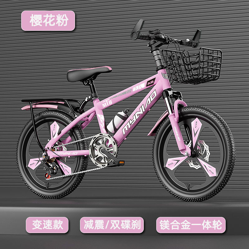 18-24 Inch Adult Mountain Bike - đánh giá và giá Cycling Low Gear